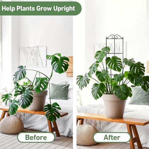 31.8'' Stackable Plant Trellis Indoor, Metal Trellis for Climbing Plants Indoor, House Plant Support with Soft Ties for Monstera Hoya Pothos, 2P
