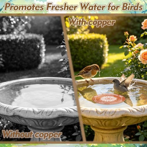 2 Pcs Copper Bird Bath Disc, Solid Copper Disk for Bird Bath, Sunflower Bird Bath Copper Disk, Natural Water Purifier for Outside Bird Bath All-Season