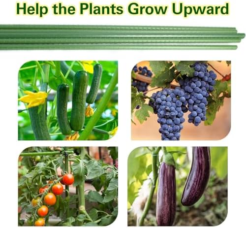 Plant Stakes 24 inch, 2ft Steel Garden Stakes 30 Pack, Sturdy Plant Support for Climbing Plants, Tomatoes, Beans, Cucumbers, Peppers, Flowers, Potted, Strengthen and Stem to Grow Better