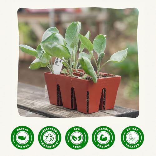 6-Cell Seed Starter Tray - 48 Trays - Terracotta