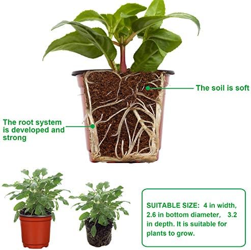 Nursery Pot, 110 Pcs 4" Plastic Plants Pot,Seed Starting Pots, Indoor Outdoor Seeding pots