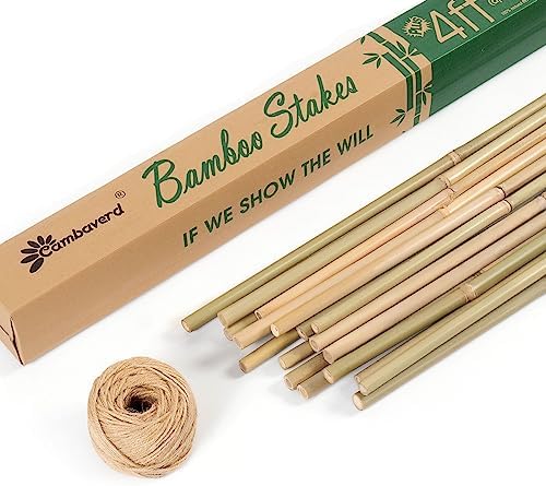 Bamboo Stakes 4ft, Thicker Plant Stakes with Garden Twine,20 Pack