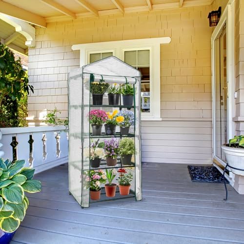 EAGLE PEAK Mini Greenhouse for Indoor Outdoor, 27x19x64 in, Clear/White PE