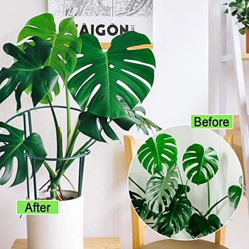 HiGift 16 Pack 24 Inch Plant Support Stakes, 10" Wide x 24" High Half Round Metal Garden Plant Stake Peony Support Cage, Green Plant Support Ring Border for Tomato,Hydrangea,Flower Indoor Outdoor