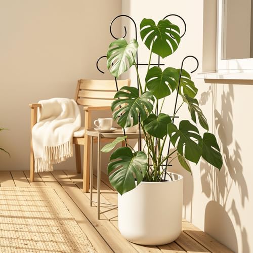 4 Pack 32 Inch Tall Metal Plant Trellis for Potted Plants