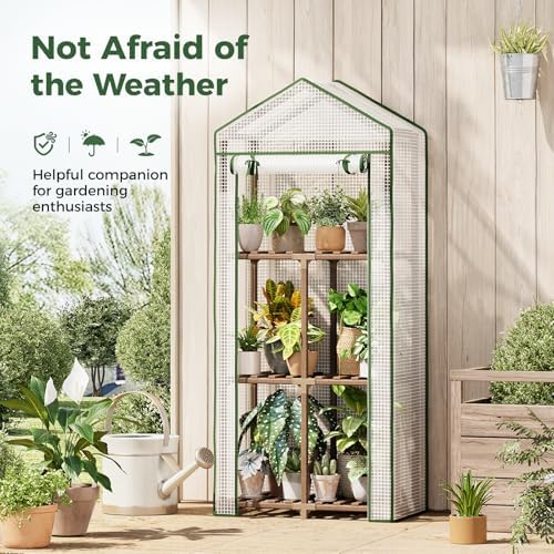 Bamworld 3-Tier Wooden Greenhouse 54" Tall Portable Green House