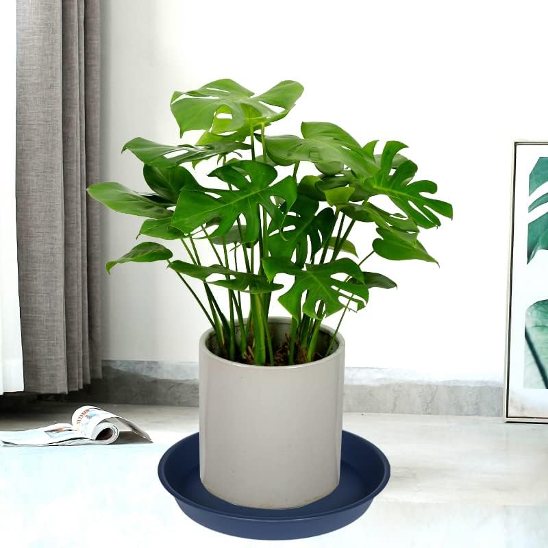 6 Pack of 10 inch Plant Saucer Blue, Heavy Duty Plastic Plant Saucer 10 inch Round, Flower Plant Saucers for Indoors, Plant Trays for Planter 8"/9"/10" (10", Blue)