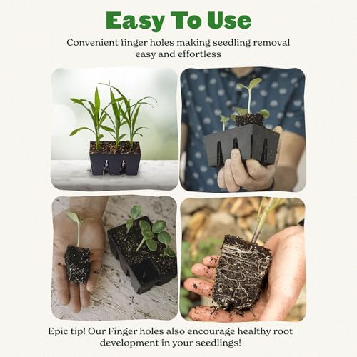6-Cell Seed Starter Tray - 48 Trays - Black