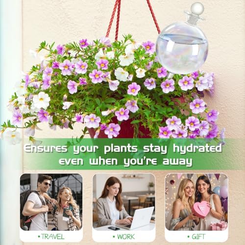 17 oz Extra Large Plant Watering Globes, Glass Self Watering Globes, Rainbow Gradient Self Watering Planter Insert, Watering Bulbs, Automatic Plant Waterer for Indoor Outdoor Plants (2 Pack)