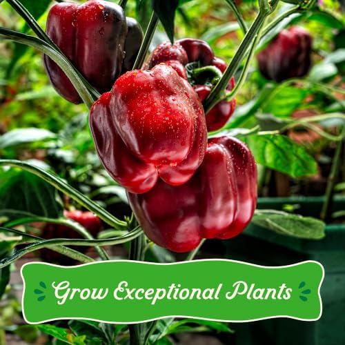 Back To The Roots Master Potting Mix, 100% Organic, Larger Plants & Blooms