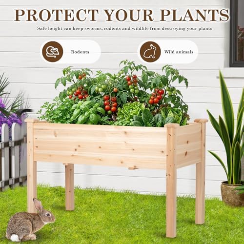 Raised Garden Bed with Legs, 48x24x30 inch Wood Elevated Planter with Protective Liner for Vegetable Flower Herb, Outdoor Planter Box Kit for Balcony Patio Backyard, Natural