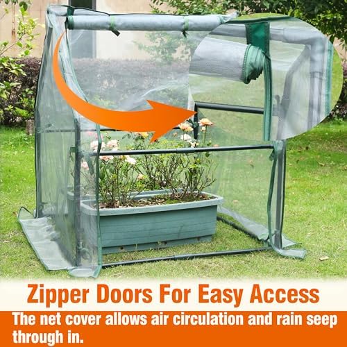 Gardzen Mini Greenhouse with Zipper Mesh Cover 36.2"(L) x36.2(W) x42.5(H)
