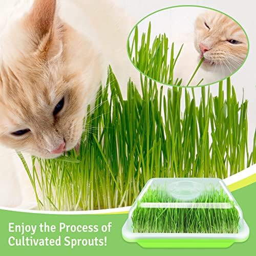 5 Pack Seed Sprouter Trays with Lids, Microgreens Growing Trays Kit