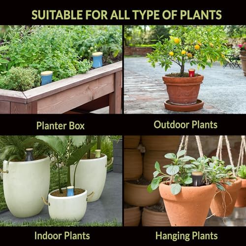 Ollas (Set of 4) | 12oz Terracotta Plant Watering Globes - Self Watering Planter Insert - Automatic Plant Watering Devices | Vacation Watering Pots for Indoor & Outdoor Plants