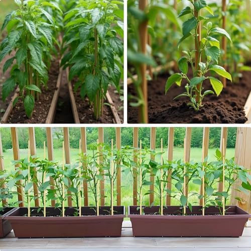 100 PCS 2.5FT Bamboo Plant Stakes, 6.3mm Thick