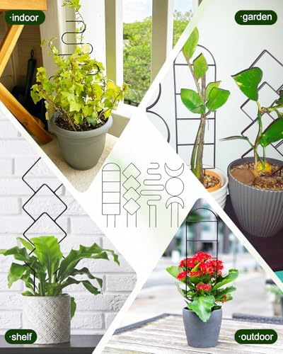 4 Pack Small Hoya Metal Trellis for Potted Climbing Plants Indoor, Black