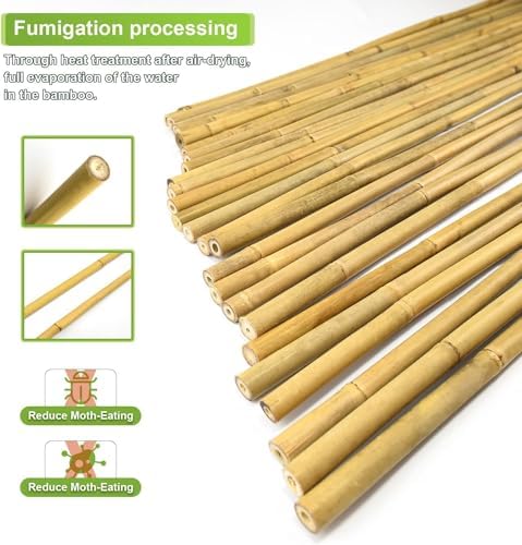 Jollybower 30pcs 3/10" D Thicker Heavy Duty Bamboo Stakes, 2FT Plant Stakes, Natural Garden Stakes for Tomato, Bean, Flowers,Trees Potted and Climbing Plant Support