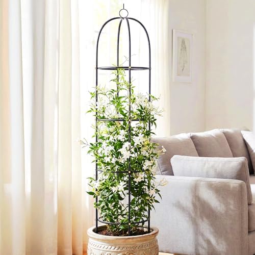 Metal Trellis for Climbing Plants Outdoor, 2026 Upgrade 100% Metal with Powder Coating, Rose, Flowers, Grape, Pea, Cucumber Tomato Cage - 6.3 FT Freestanding Plant Support