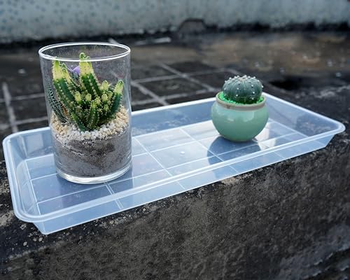 VUWEZ 2 Pack Plastic Plant Saucer, Rectangular, Indoors Outdoor, Water Drip Tray for Flower Pot, Windowsill (5.5 x 10 Inch, Clear)