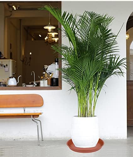 2 Pack of Bird Bath Bowl 14 inch, 1.6" Depth, 12 14 16 18 19 inch Heavy Duty BirdBath Bowls only, Plastic Round Large Plant Saucer Dish for Garden (14", Terracotta)