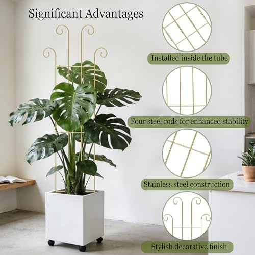 3 Set Tall Trellis for Potted Plants Indoor, 32'' Expandable Garden Metal Trellis for Climbing Plants Outdoor, Monstera Plant Support for Hoya, Vine, Ivy Pothos (Gold)