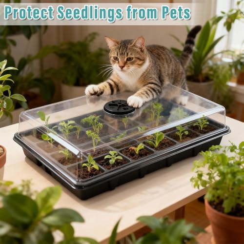 RooTrimmer 5-Pack Seed Starter Trays with Dome & Large 24-Cell 2" Plug Tray