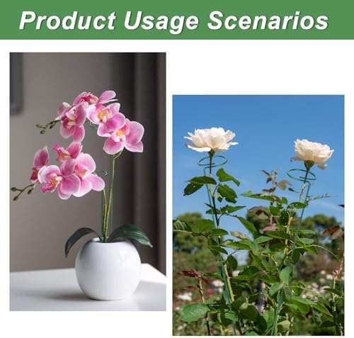 36 Inch Plant Stakes Tall, Three Sizes (12 or 24 or 36 Inch)