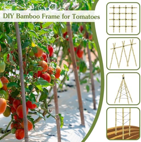 Plant Stakes 4FT, Natural Bamboo Stakes, 25Pcs Sturdy Bamboos Garden Stakes