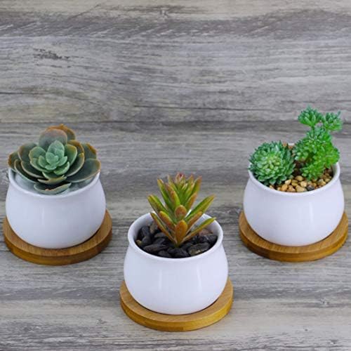 6pcs 3 inch Bamboo Round Plant Saucer, Mini Flower Pot Tray for Cactus Flower Container Planter Bonsai