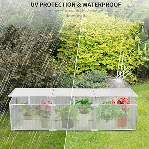 Polycarbonate Greenhouse for Outdoors, Mini Cold Frame Plant Shelter, with Openable Roof, Sturdy Aluminum Frame, Translucent Panels for Balcony, Patio, Garden Herbs