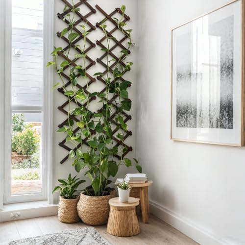 2Pcs Expandable Garden Trellis, 13"x68" Trellis for Climbing Plants Outdoor