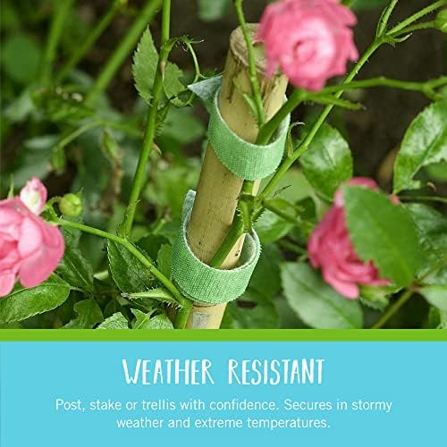 VELCRO Brand ONE-WRAP Garden Ties, for Plant Support, 50 Ft x 1/2 in