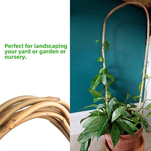Avalution 16" Natural Bamboo Plants Trellis U-Hoop,Bamboo Gaeden Trellis U-Shape for Climbing Plant Support-20PCS