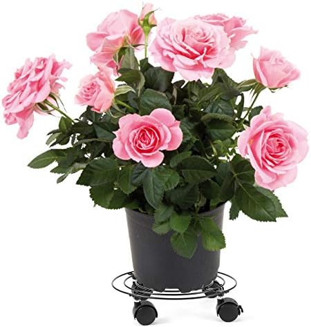 ZOENHOU 3 Pack 11.8 Inch Metal Plant Caddy with Wheels, Plant Flower Pot Movers Rollers for Indoor Outdoor