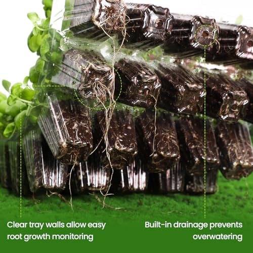 Seed Starter Trays with Grow Lights, 80 Cells, 2 Pack