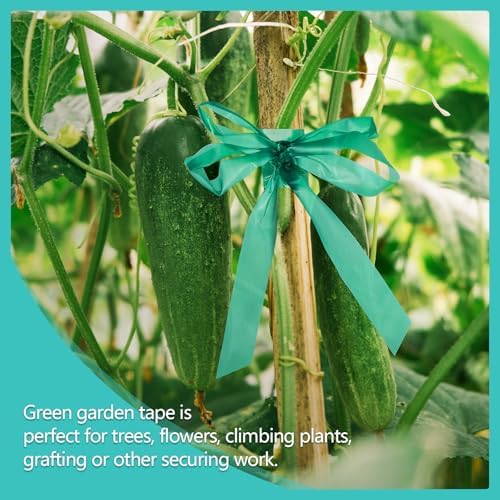 1200Ft Plant Tape,1" Stretch Garden Tie Tape Roll, Plant Ribbon(4 Rolls)