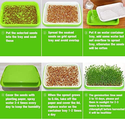 5 Pack Seed Sprouter Trays with Lids, Microgreens Growing Trays Kit