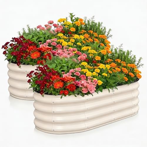 Galvanized Raised Garden Bed Outdoor 4x2x1 ft 2 Pack Oval White
