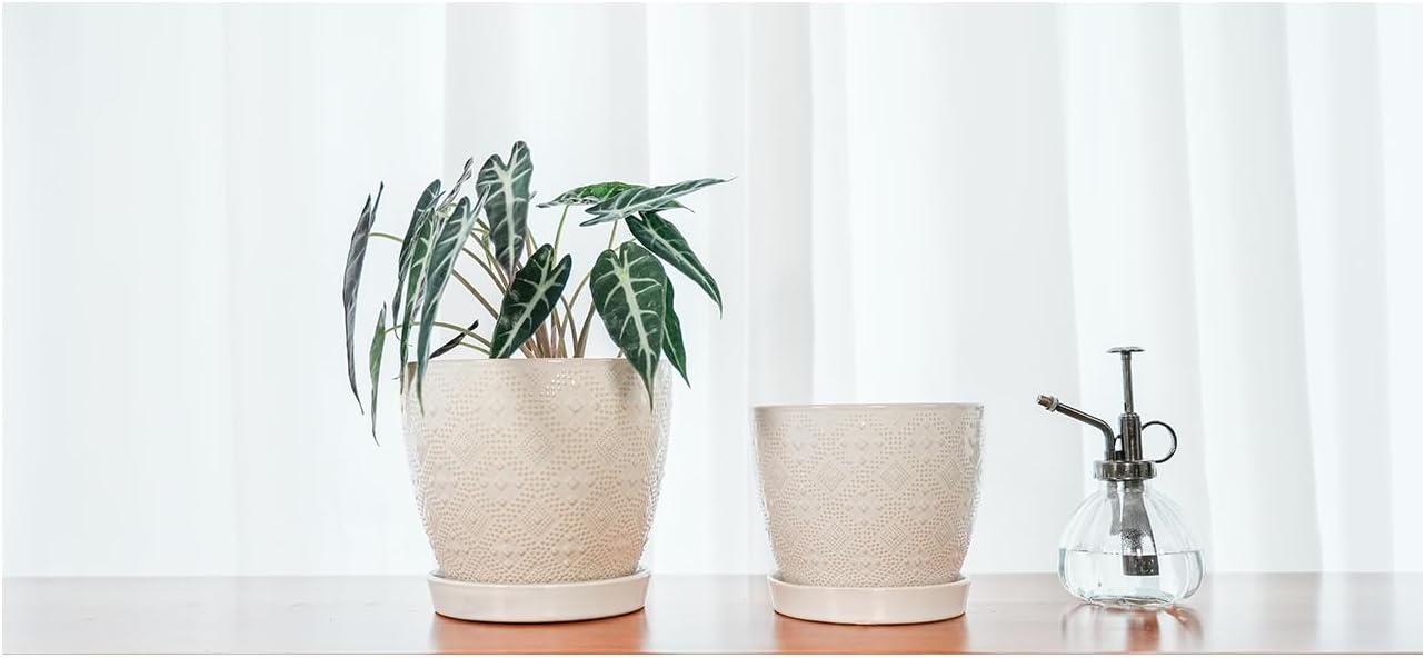 Docrin Ceramic Plant Pots Indoor, 6.6 + 5.5 Inch Planters with Drainage Holes and Saucer for Home/Office - Set of 2 /White