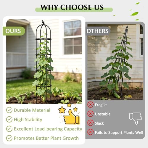 Garden Obelisk Trellis for Climbing Plants Outdoor, 6.2 FT Tomato Cage, Rose, Flowers, Grape, Pea, Cucumber Trellis, Rustproof Plastic Coated Metal Plant Support Trellis for Potted Plants (2 Pack)