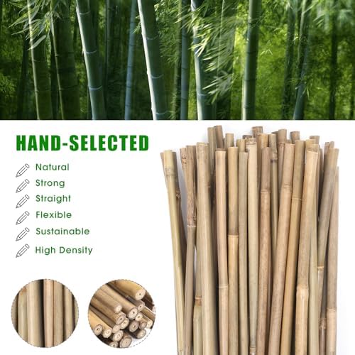 bamboo stakes,3Feet,50Pcs,Plant Bamboo Post,GUANGYE,Bamboo Garden Stakes