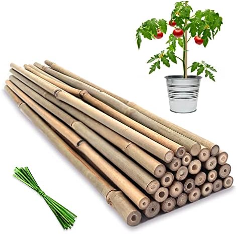 Plant Stakes,12IN Natural Garden Bamboo Sticks, 20Pcs Plant Support Stakes