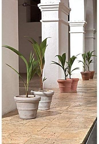 Crescent Garden Brunello Planter, Classic Rolled-Rim Plant Pot, Plastic Indoor-Outdoor Planter, 12-Inch (Weathered Concrete-Color)