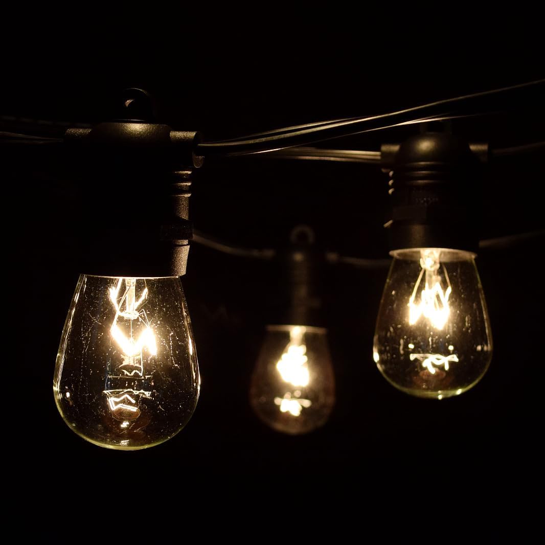 Hometown Evolution, Inc. Commercial E26 String Lights with 16 Gauge Wire (50 Foot 25 Socket, S14 11 Watt Clear Bulb)