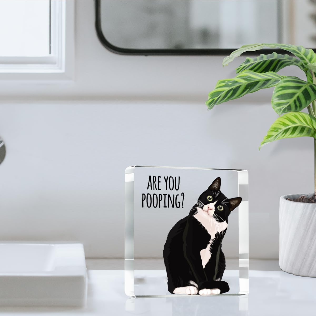 Are You Pooping Funny Sign，Black Cat Decor, Cat Bathroom Acrylic Decor，Home Decor Bathroom Creative Gift For Women Men，Funny Decorate Retro for Home Toilet