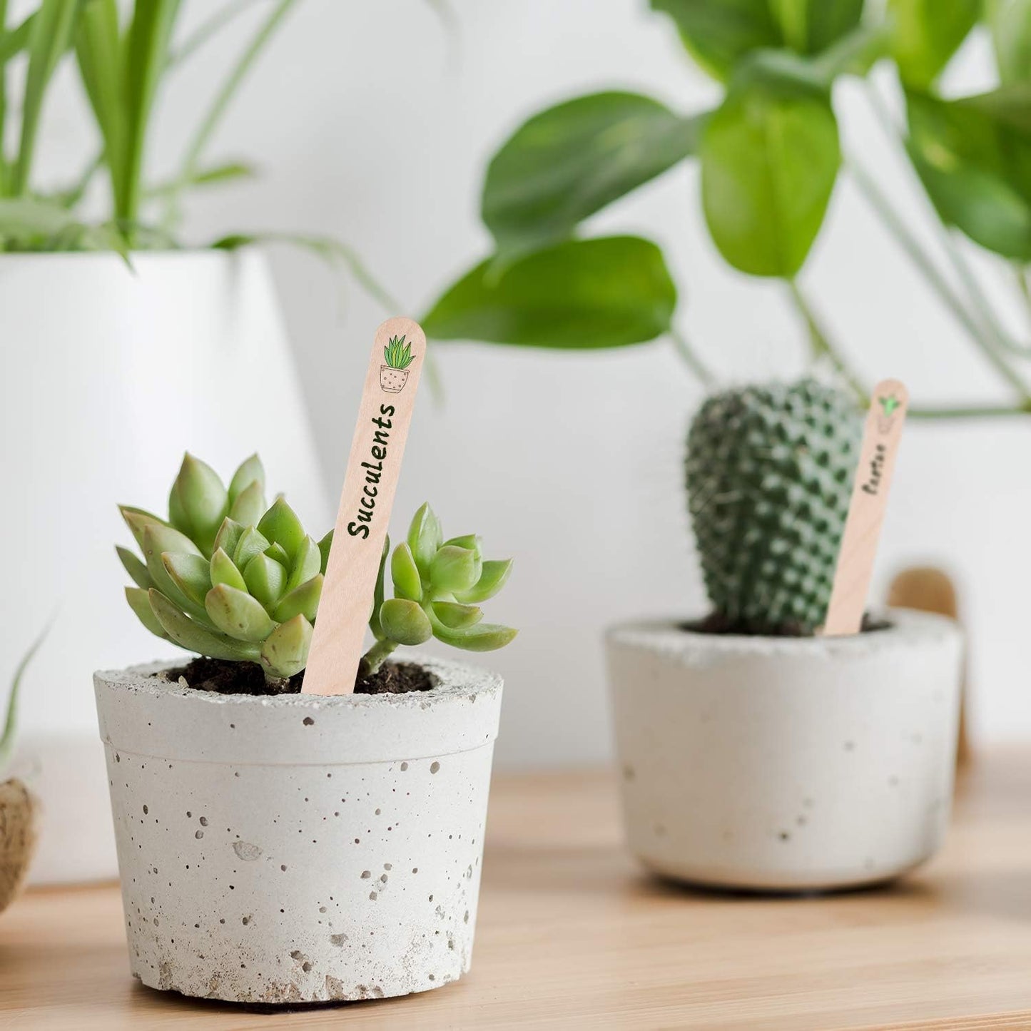 Whaline 200Pcs Wooden Plant Labels Waterproof Round Head Plant Sign Tags Birch Wood Plant Label Eco-Friendly Garden Markers for Seed Potted Herbs Flowers Vegetables with 2 Gel Pen, 15 X 1.7 CM