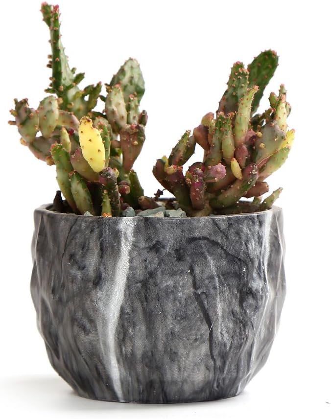 SE SUN-E Sun-E Modern Style Marbling Ceramic Flower Pot Succulent/Cactus Planter Pots Container Bonsai Planters with Hole 3.35 Inch Gift Idea(4 in Set) Plants Not Included