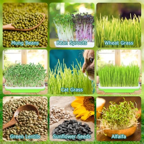10 Pack Seed Sprouter Trays, Microgreens Growing Trays Kit