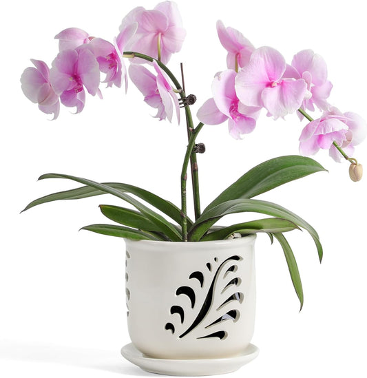 Ceramic Orchid Pot, 6 Inch Orchid Pots with Holes and Saucer for Indoor/Outdoor Plants Drainage & Air Circulation, White Orchid Planter for Repotting or New Plants