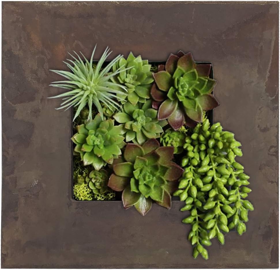 Modern Home Living Wall Galvanized Steel/Zinc Succulent Planter (Rust Zinc, 4 Pocket)
